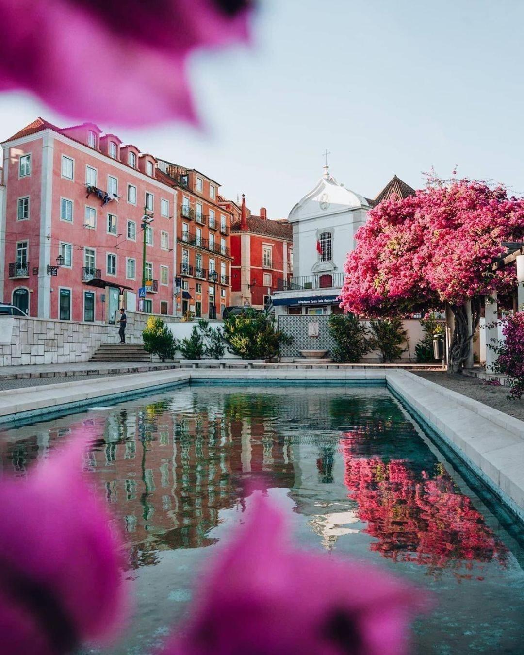 Alfama Historical Apartment 3 Bedroom Duplex Lisboa المظهر الخارجي الصورة